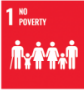 SDG 1