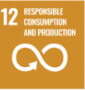 SDG 12