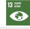 SDG 13
