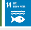 SDG 14