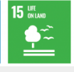 SDG 15