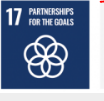 SDG 17