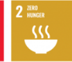 SDG 2