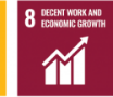 SDG 8