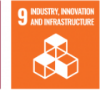 SDG 9